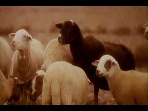 The KLF - What Time Is Love? (The &#039;video&#039; for the 1988 Pure Trance Original [Classic])